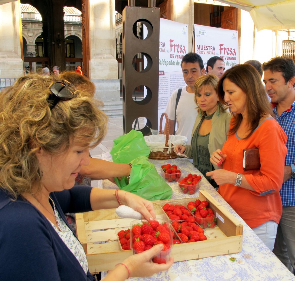 20131109_Muestra_provincial_de_la_fresa