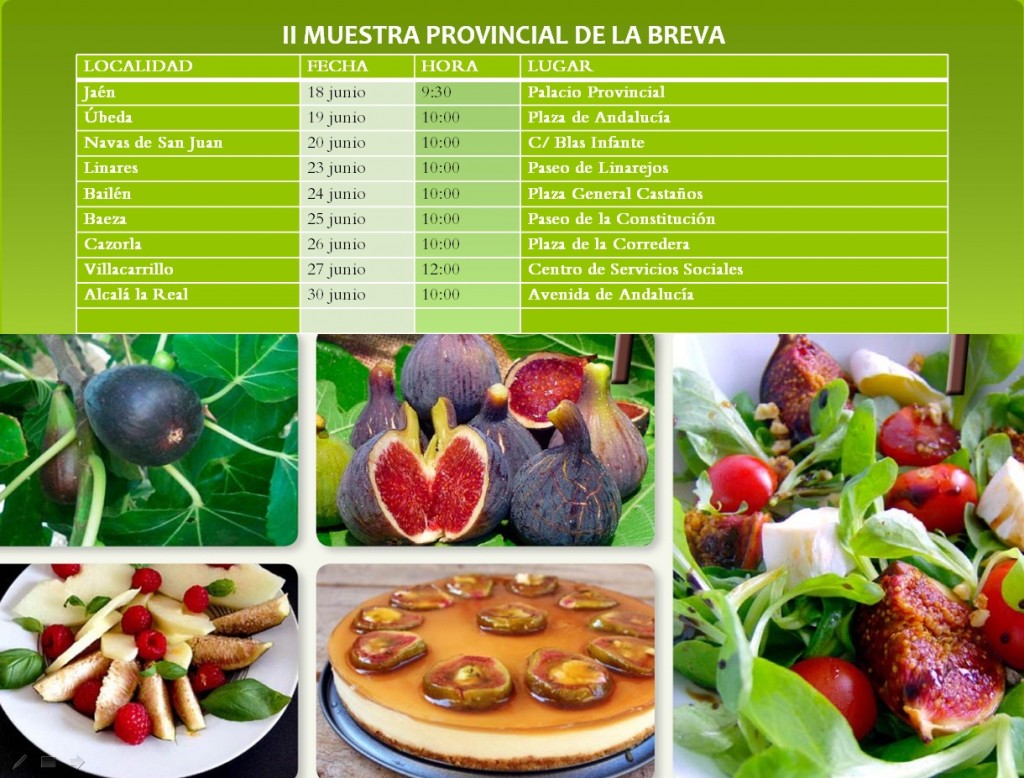 II Muestra Breva