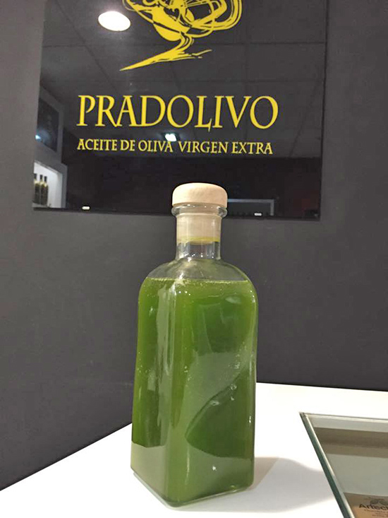 Pardolivo primer día