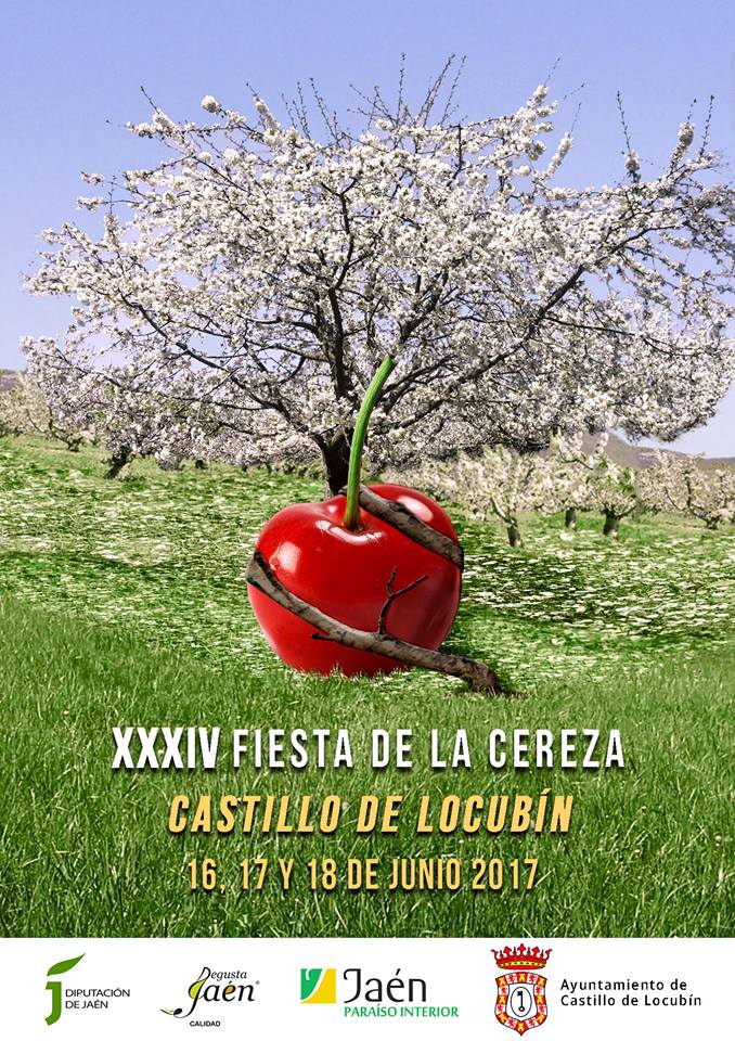 18921935_708230052697072_4723278721277594056_n