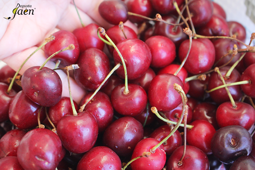 Cerezas Degusta Jaen