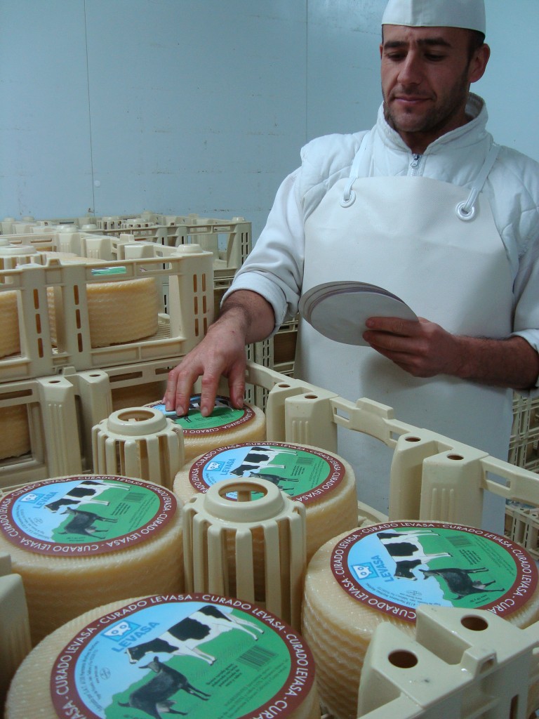 Quesos Levasa Degusta Jaén