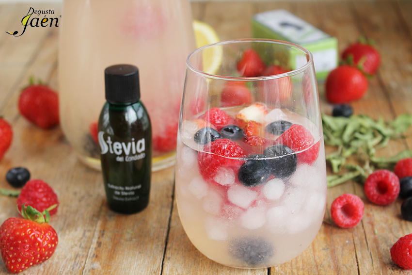 Limonada con frutos rojos y Stevia Degusta Jaén (1)