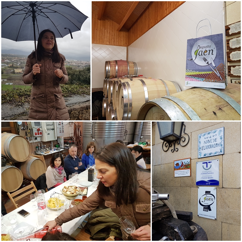 Conoce Degusta Jaen en su Origen (11)