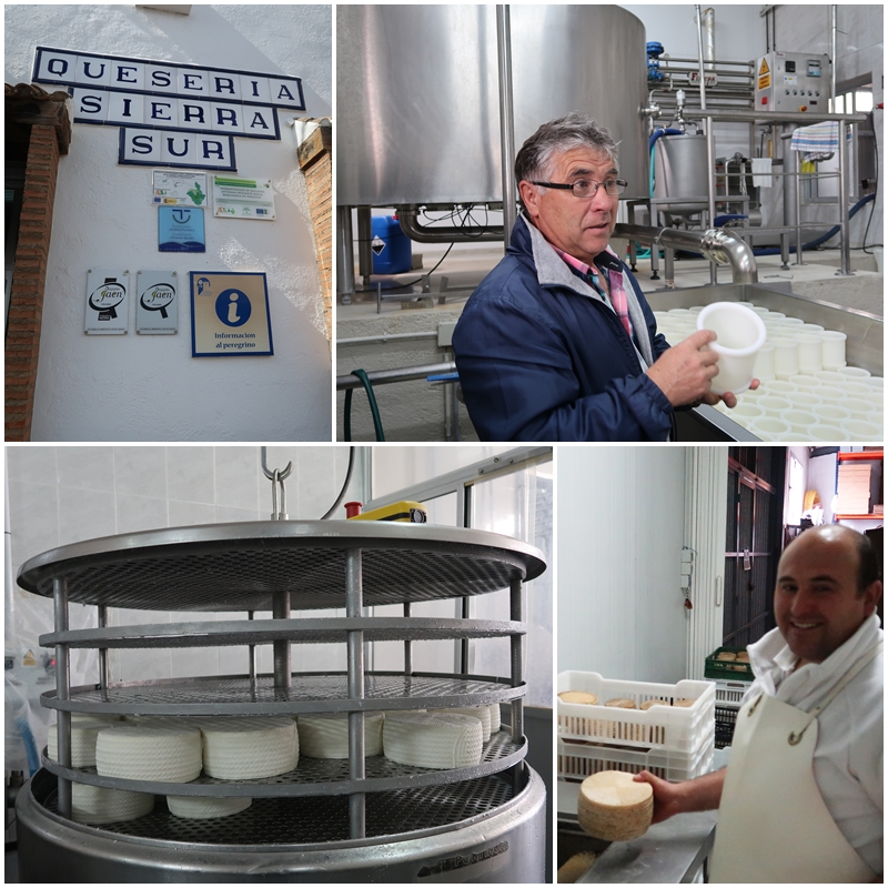 Conoce Degusta Jaen en su Origen (7)