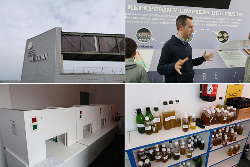 Degusta Jaen DO Sierra Magina1