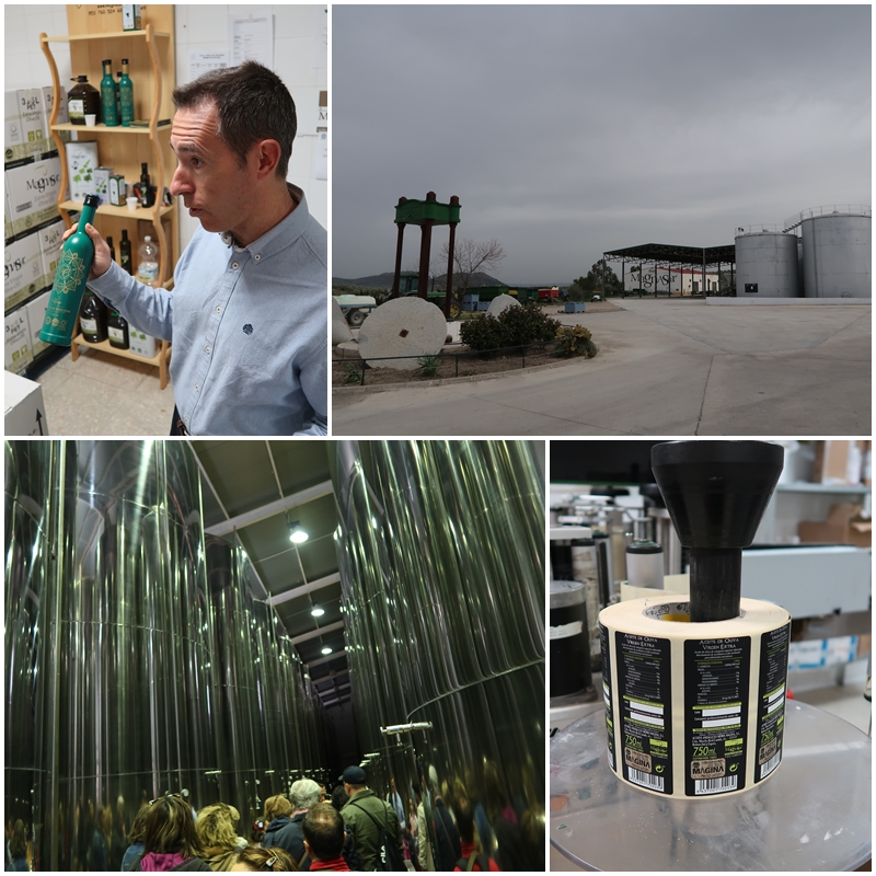 Magnasur Degusta Jaen