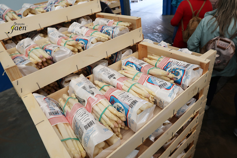 Esparragos blancos frescos Bedmar Congana