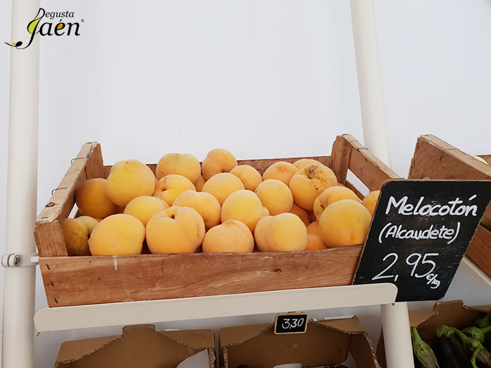 Tierras Vivas Degusta Jaen (2)