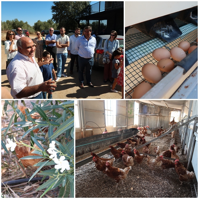 Huevos Bio Castulo 1