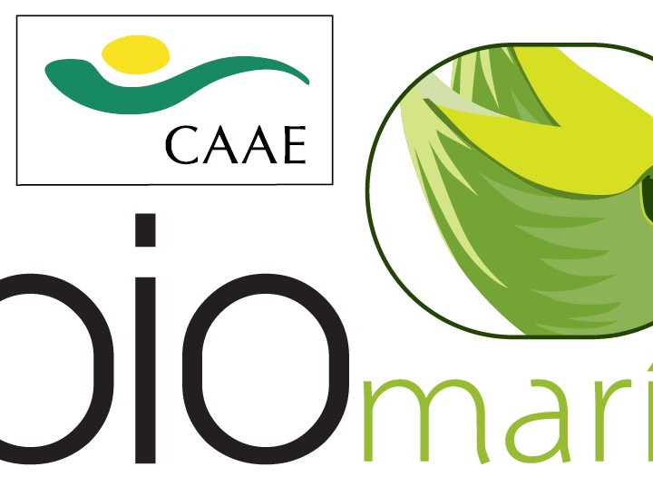 Imagen del producto Ajos BioMaría