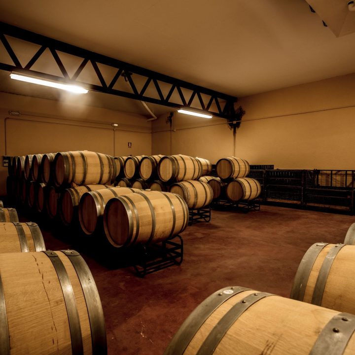 BodegasCampoameno-fotos-52