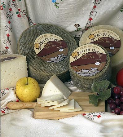 Imagen del producto Queso curado de leche de cabra «Del Premio» Quesos Sierra Sur