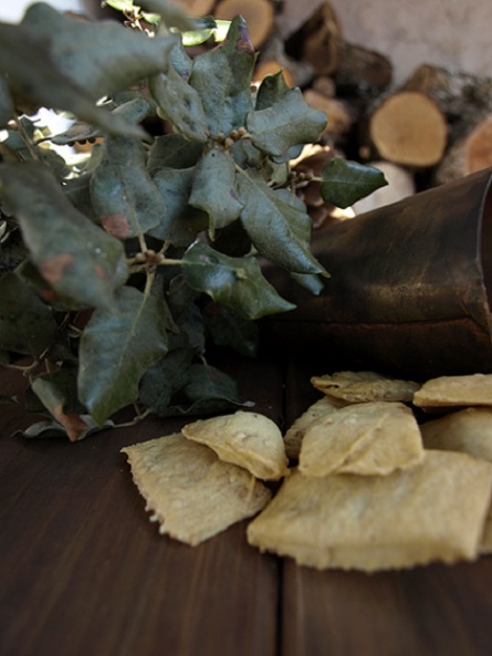 olympus-digital-camera-46