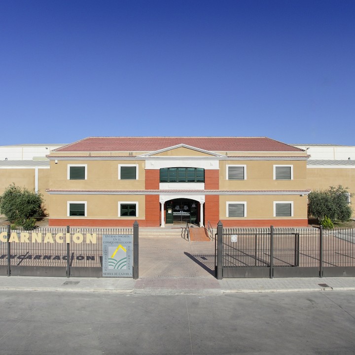 Imagen de la empresa SCA Encarnación