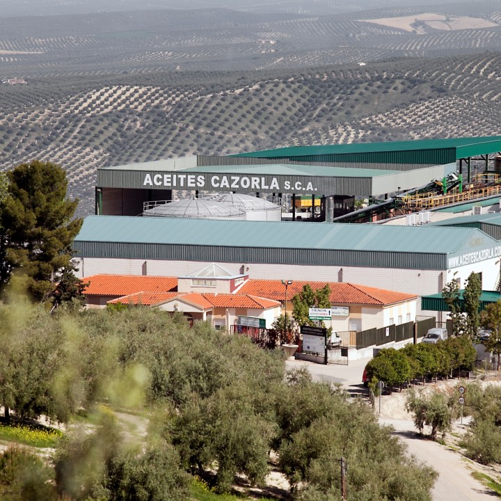 Imagen de la empresa Aceites Cazorla S.C.A.