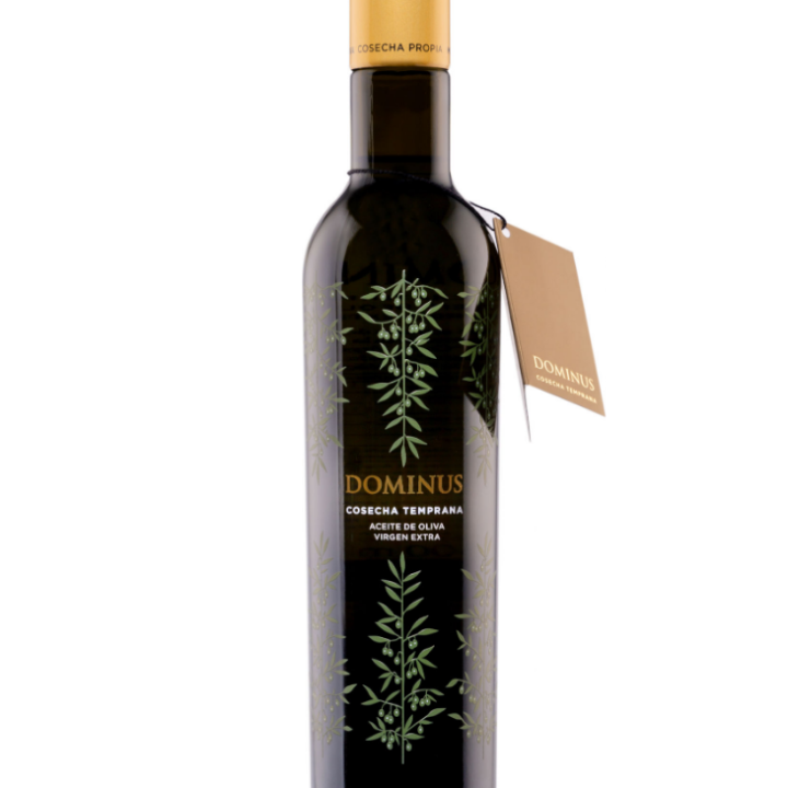 dominos-temprana-500