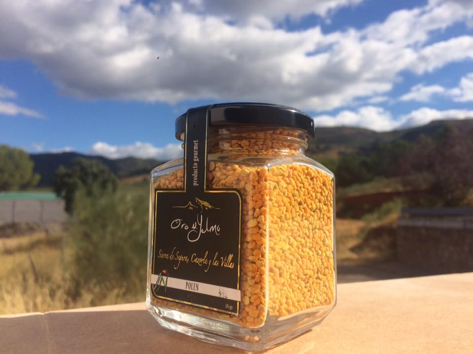 14463188_702954176527302_866132946241703113_n