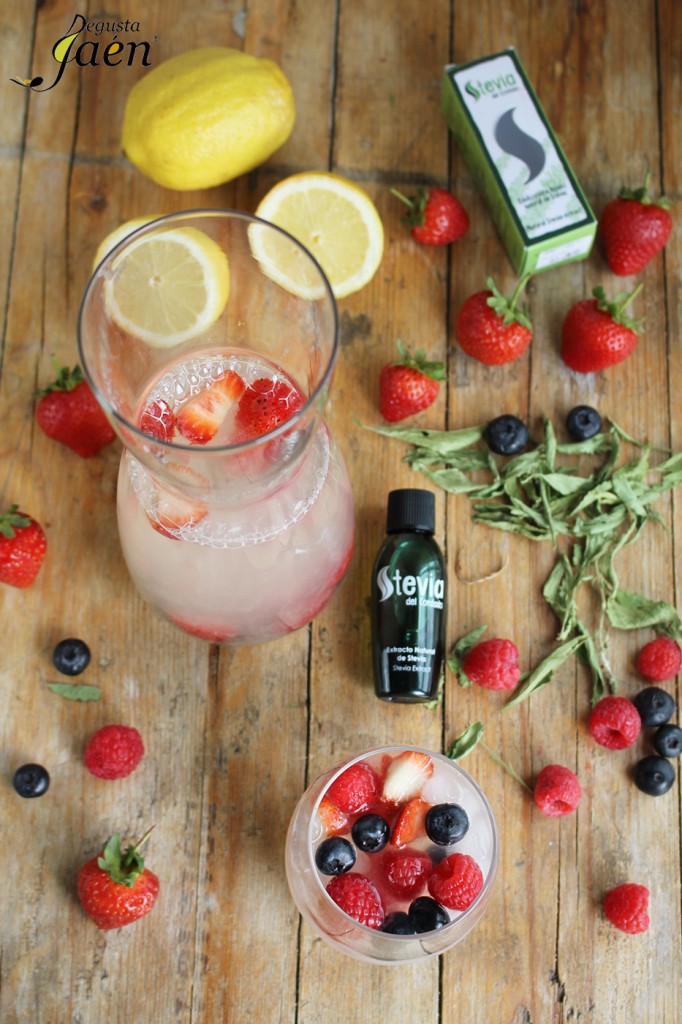 Limonada con frutos rojos y Stevia Degusta Jaén (2)