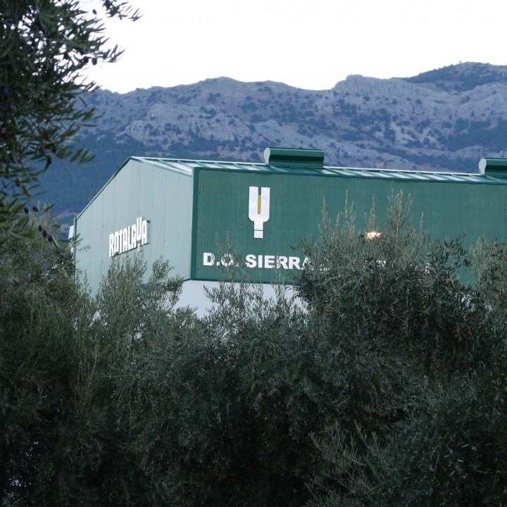 Aceites Rotalaya Degusta Jaen