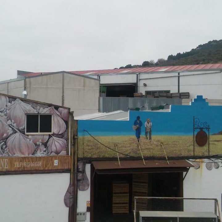 Imagen de la empresa Ajos El Nene