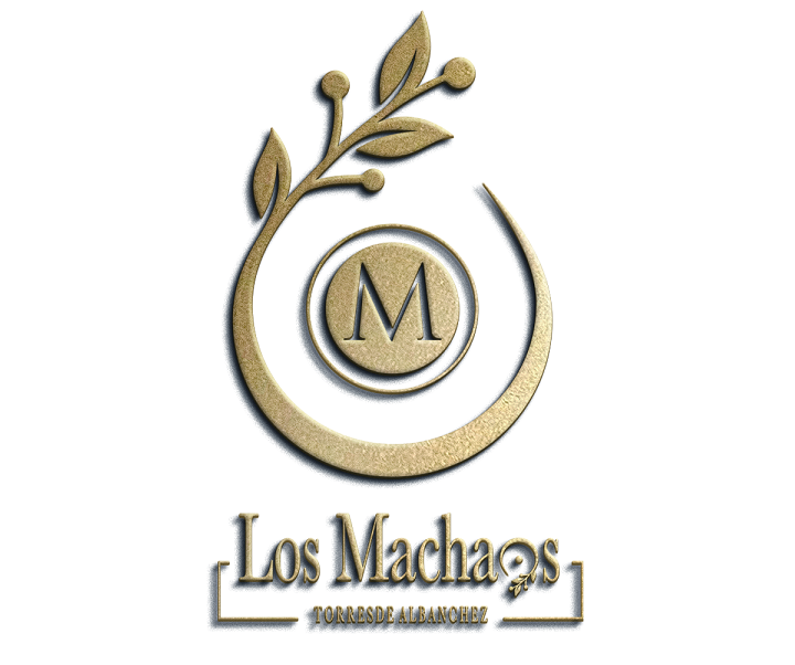 Imagen de la empresa Aceite Los Machaos