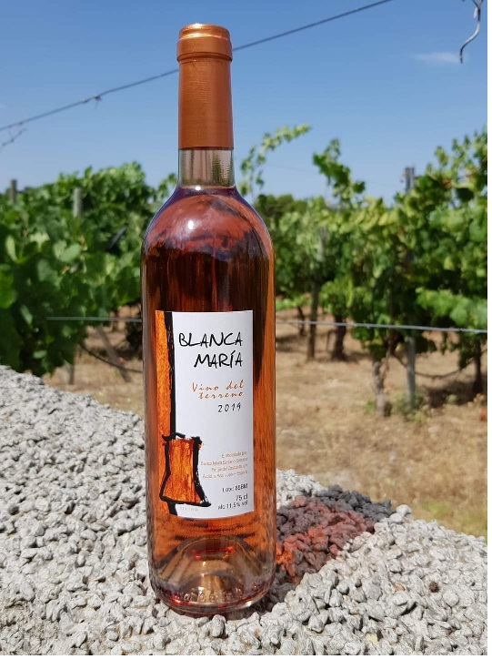 vino-rosado-del-terreno-blanca-maria-foto