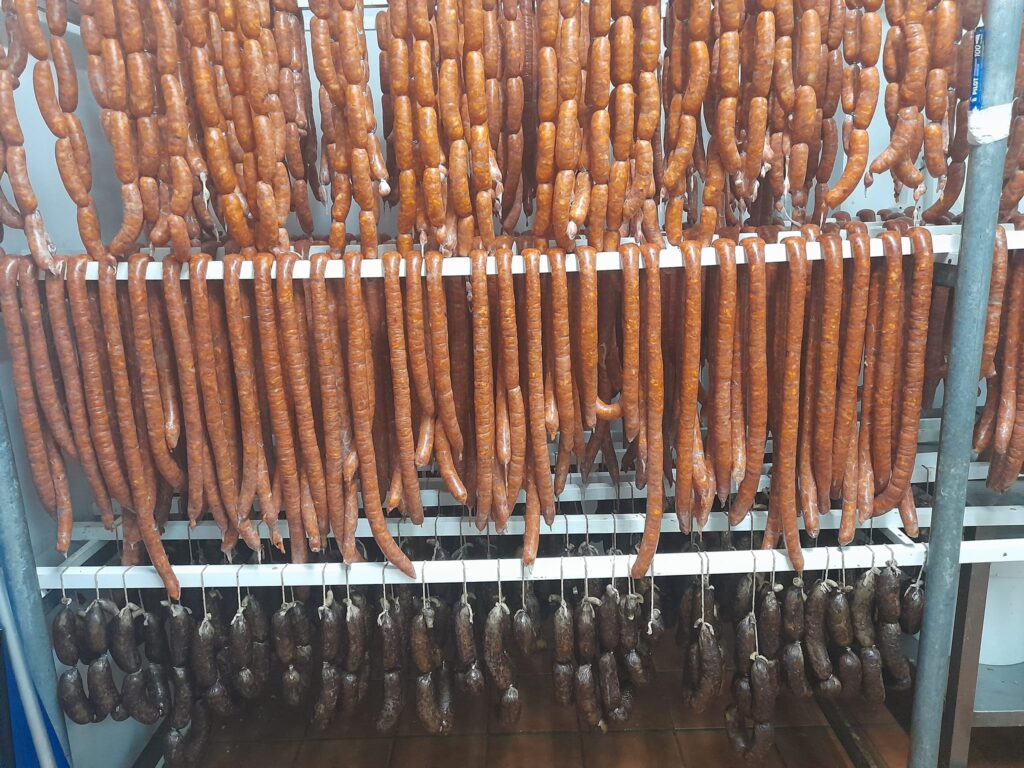 352089447_803429707640764_110653144245838784_n