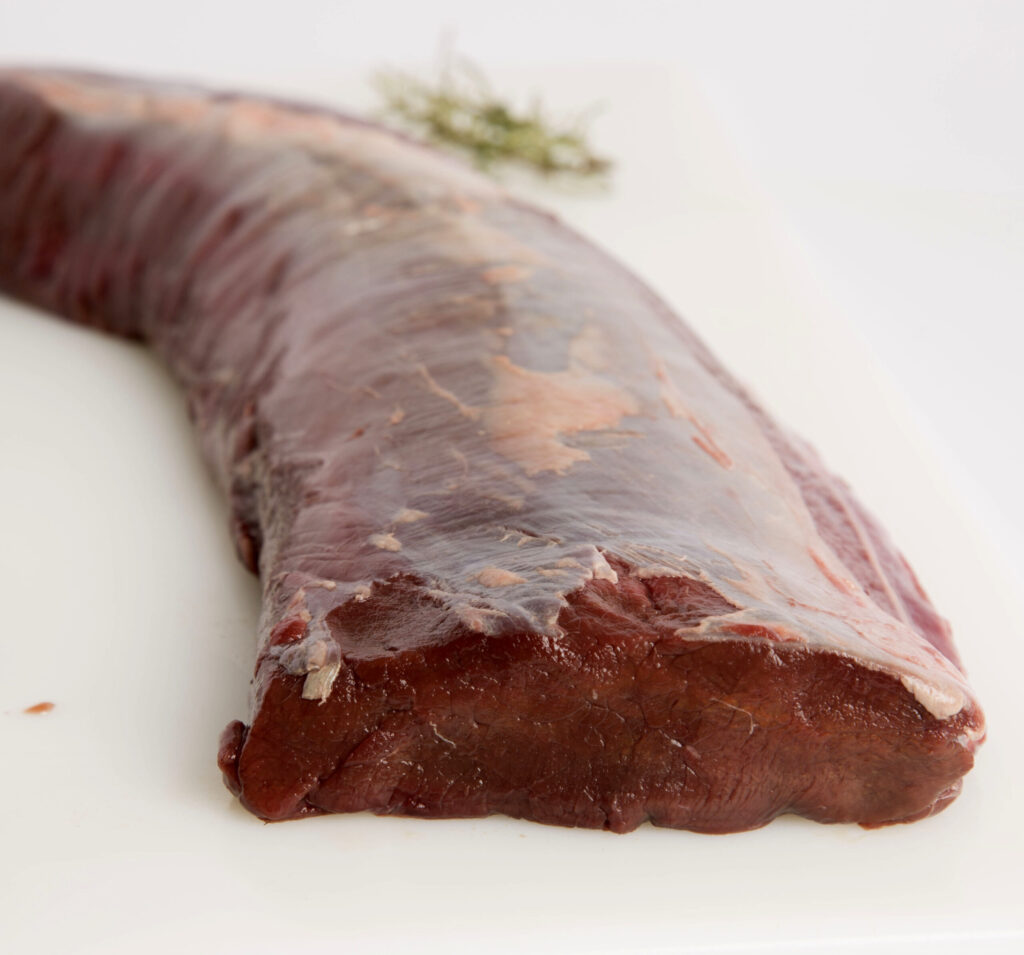 cintalomociervo-1-scaled