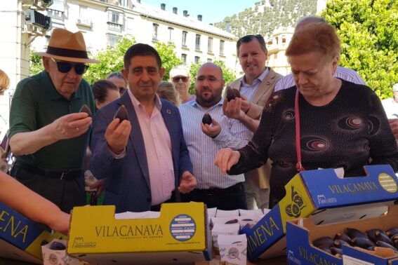 Muestra de la Cereza y Breva 2023