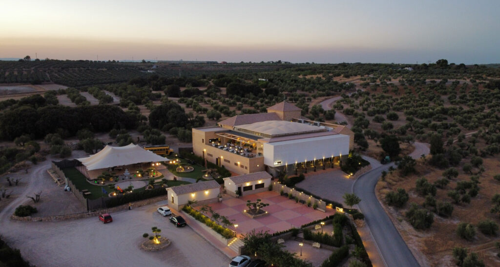 AEREA DE JESUS MENDOZA TORRES