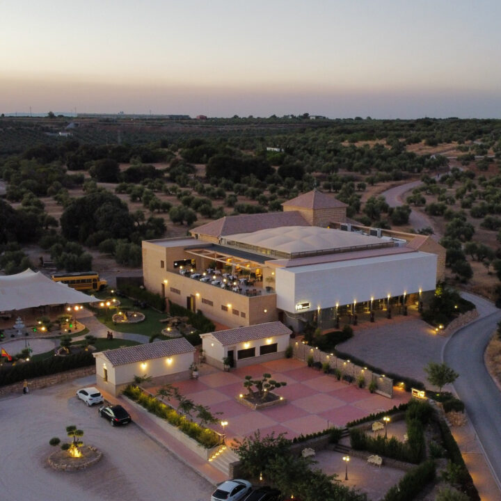 AEREA DE JESUS MENDOZA TORRES