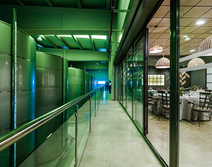 Aureum_Picualia_017 copia