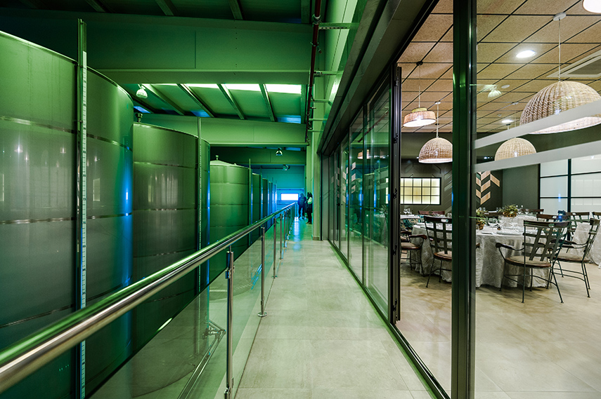 Aureum_Picualia_017 copia