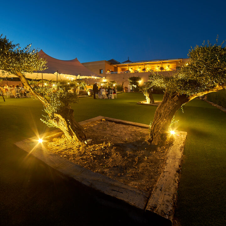 JARDIN OLEA DE JESUS MENDOZA TORRES