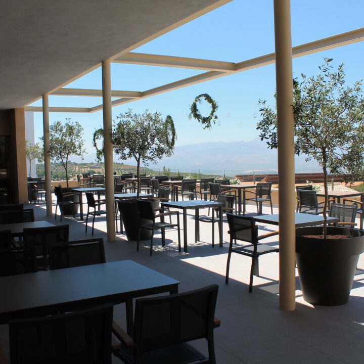 TERRAZA GAZEBO DE JESUS MENDOZA TORRES