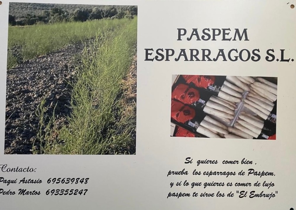 Imagen de Paspem Espárragos. Ver empresa