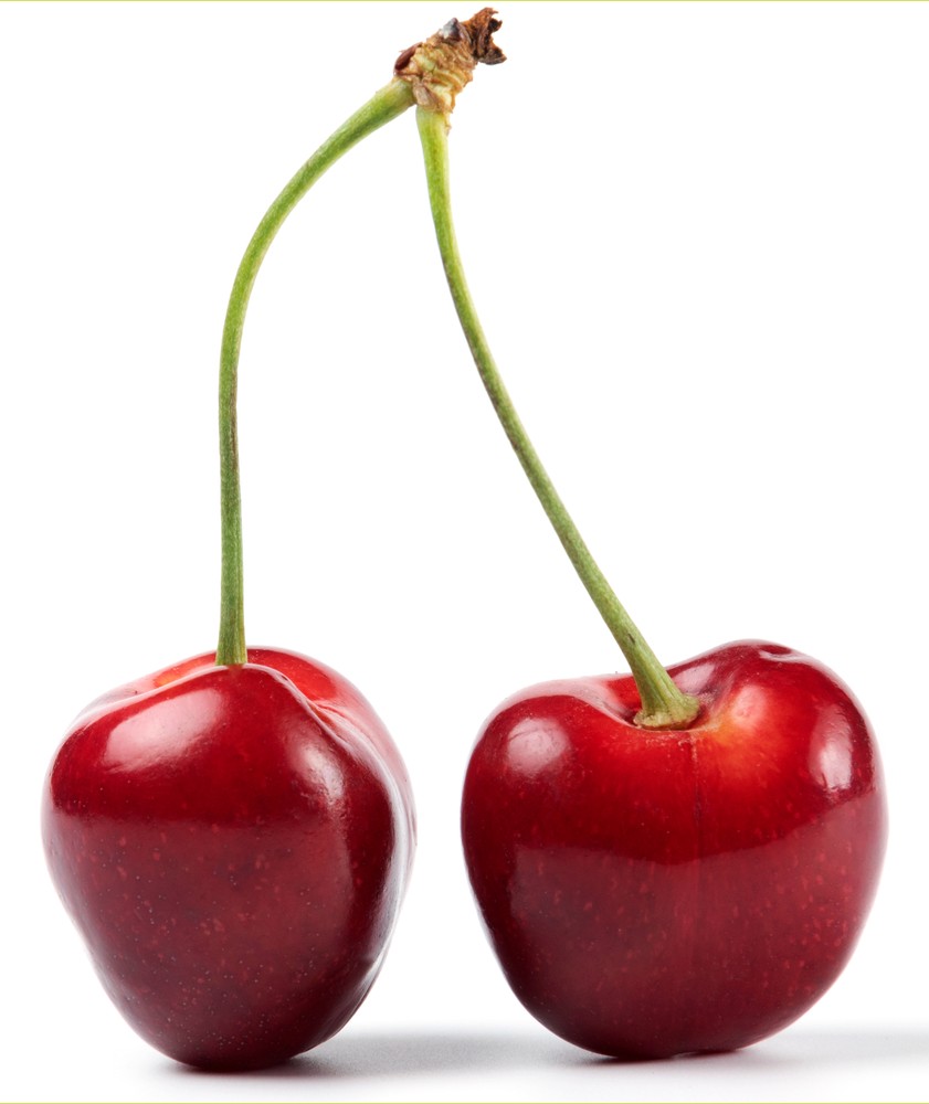 Imagen de la empresa Frusampe