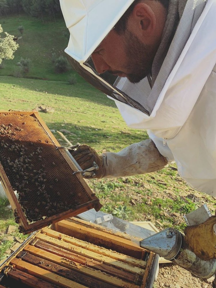 Imagen c71acc68a161312046c89819e52335d9.jpg subida desde el panel de DegustaJaén