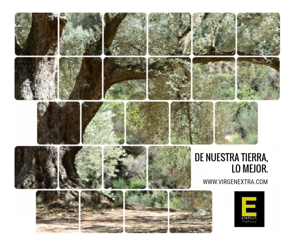 Imagen dbfba777b624d171c5ebbb7ae7d7e696.jpg subida desde el panel de DegustaJaén