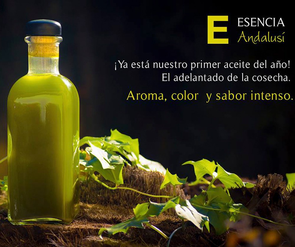 Imagen de la empresa Esencia Andalusi Gourmet