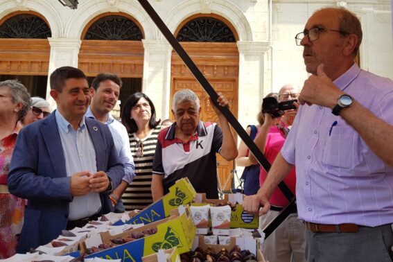 Muestra de la Breva de Jimena 2025