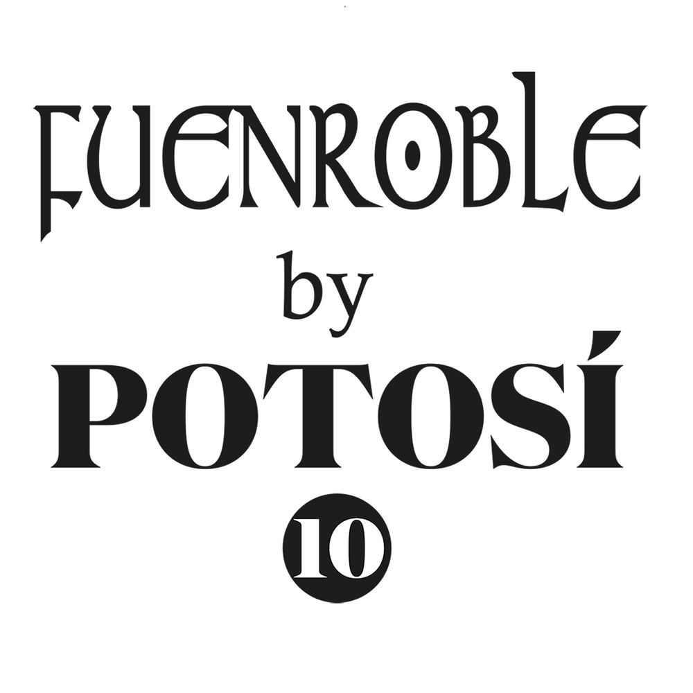 Imagen de POTOSÍ 10. Ver empresa