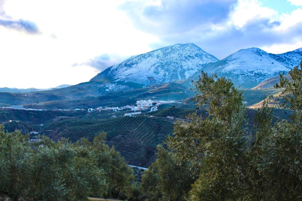 Imagen de la empresa S.C.A. Nuestra Señora de la Paz