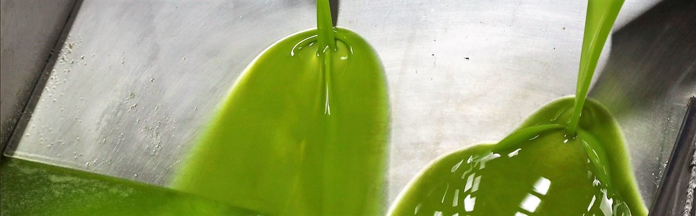 Imagen de la empresa Oleaí Organic Farming