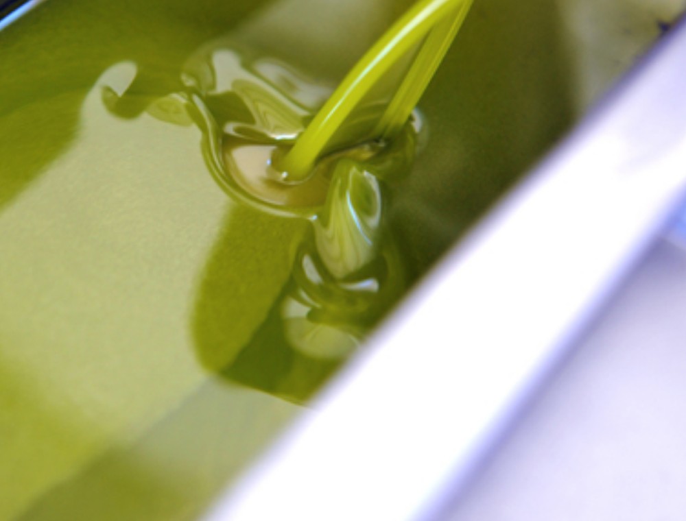 Imagen 7c7a72b69ab6841bd7d489387a51ea4d.jpg subida desde el panel de DegustaJaén