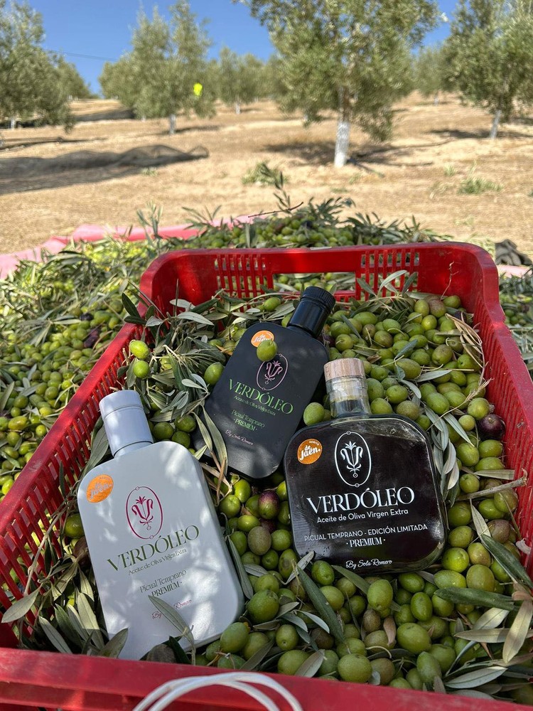 Imagen de la empresa Aceites Sola Romero