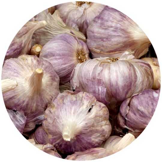 Imagen del producto Ajo morado – Ajos el nene