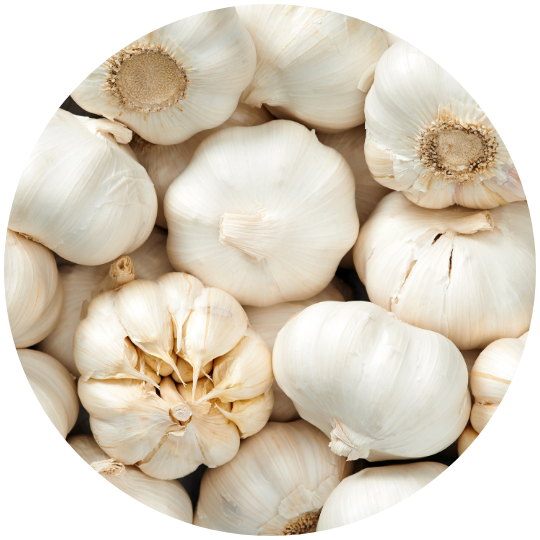 Imagen del producto Ajo blanco – Ajos el nene