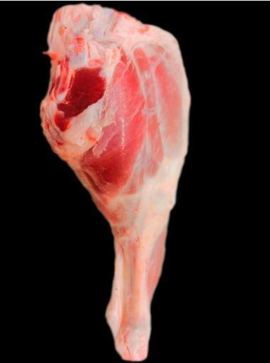 Imagen del producto Piernas de Cordero – Cárnicas Mellado